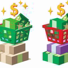 The Economics of Dollar Stores