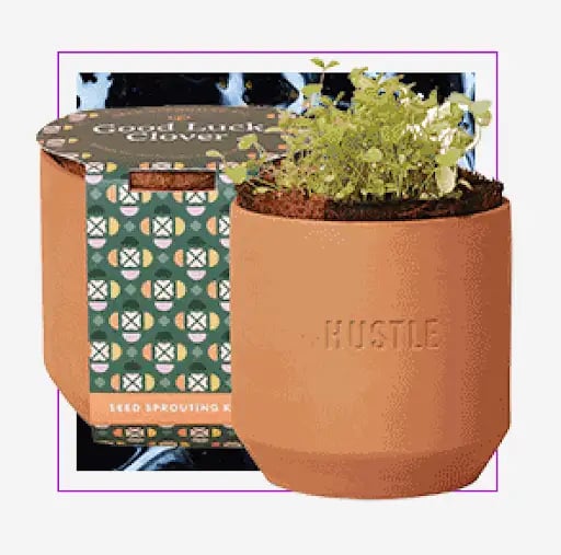 plant kit