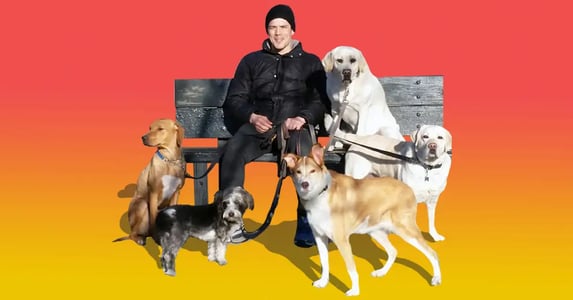 What it’s like to make $100k+ walking dogs