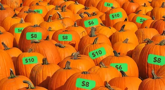 The economics of pumpkin patches