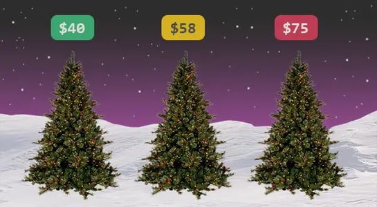 The economics of Christmas trees