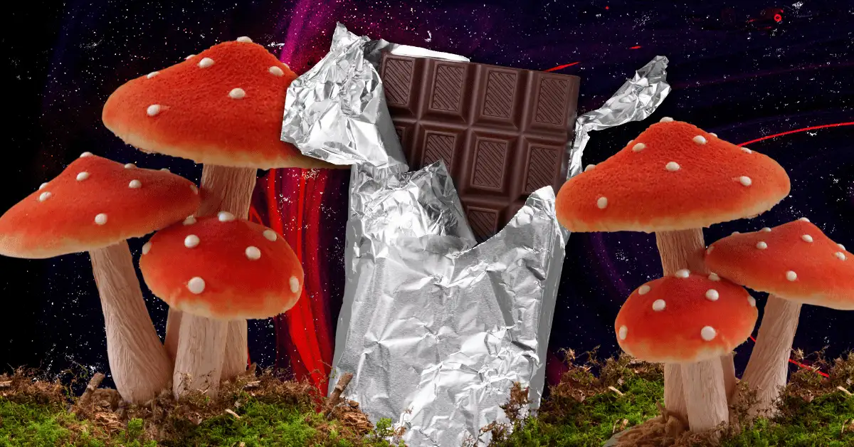 The shroom boom is coming to the candy aisle